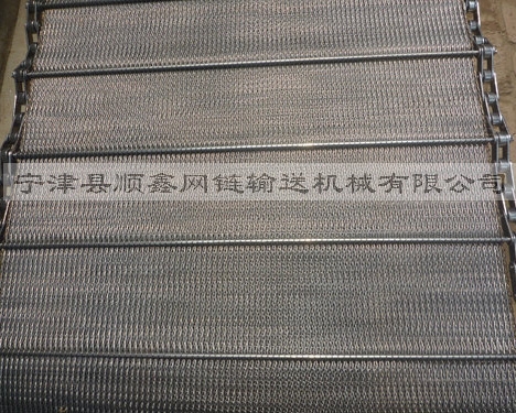 河北人字型链条网带